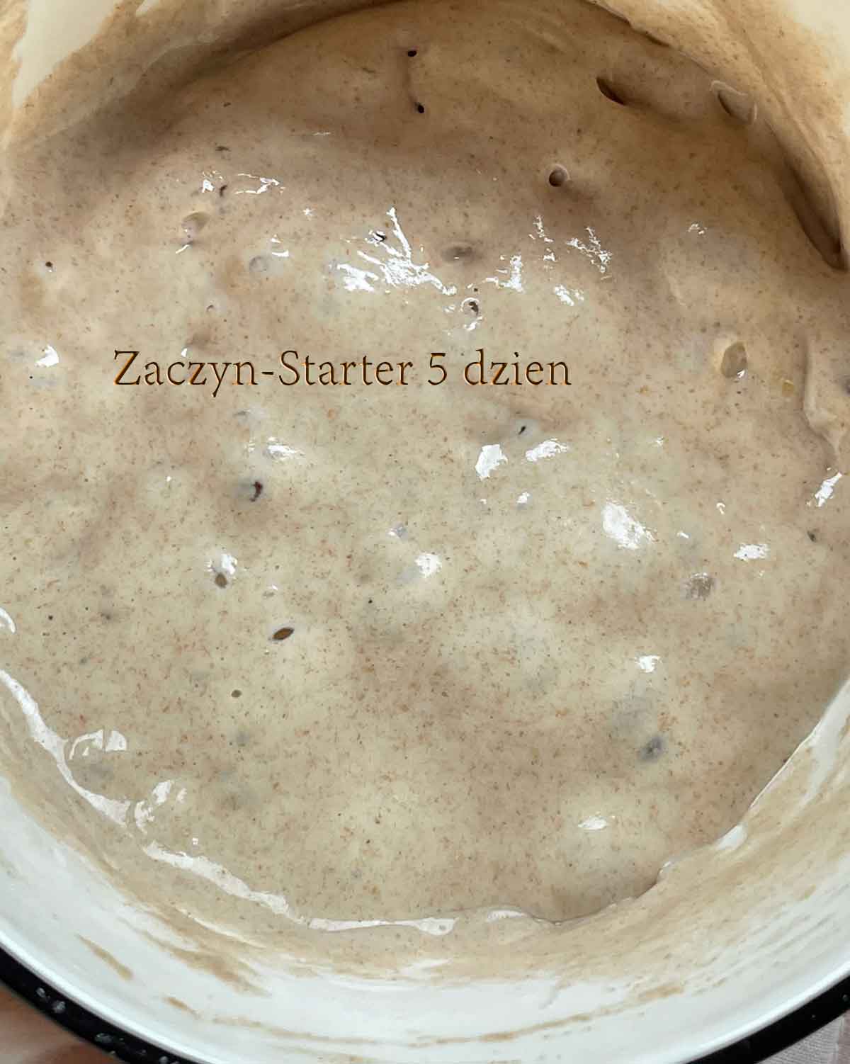 Dzień 5 drożdże-zaczyn własnej roboty