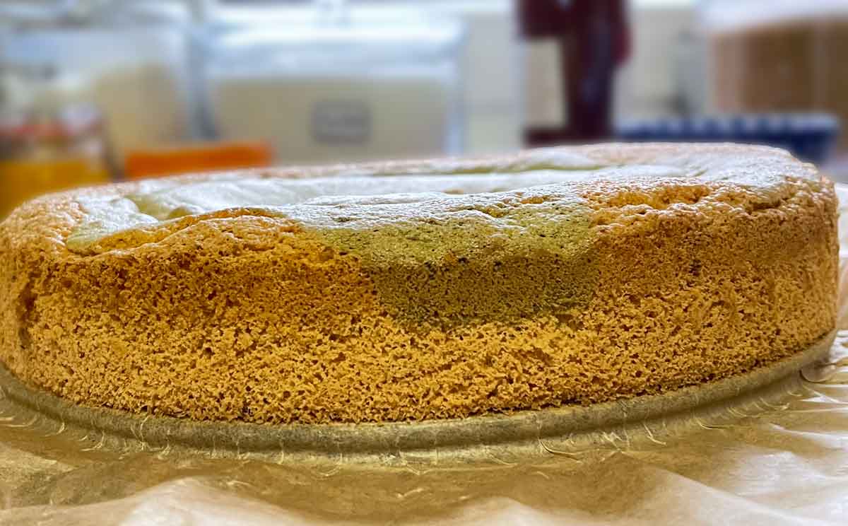 biszkopt do tortu Bellini