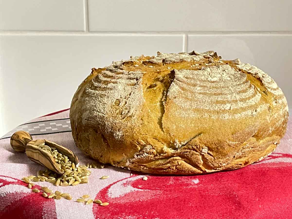 Chleb z zielonym ziarnem