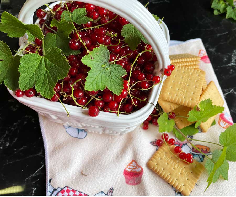 Porzeczkowy tort ze Skyrem