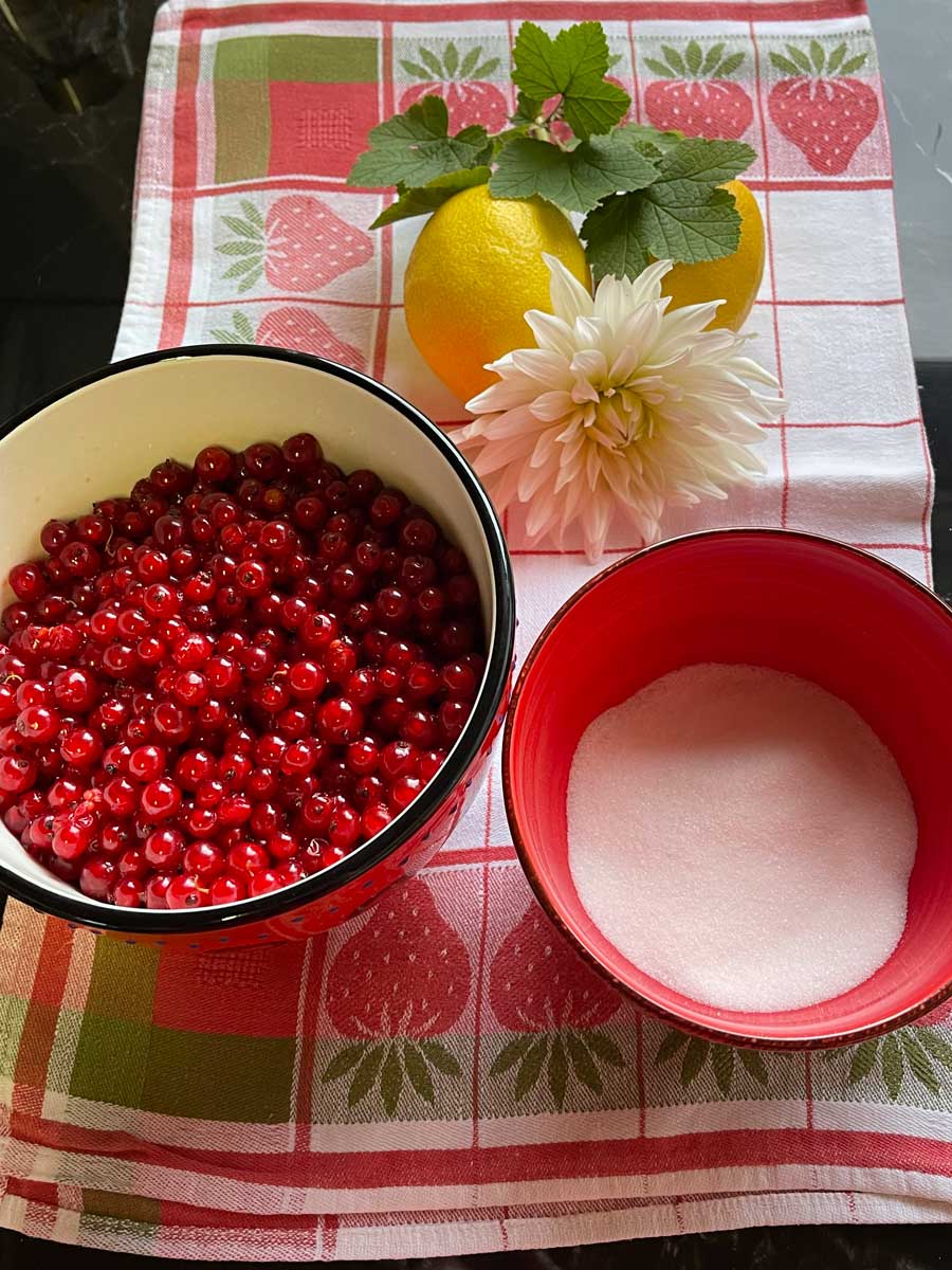 Porzeczkowy tort ze Skyrem