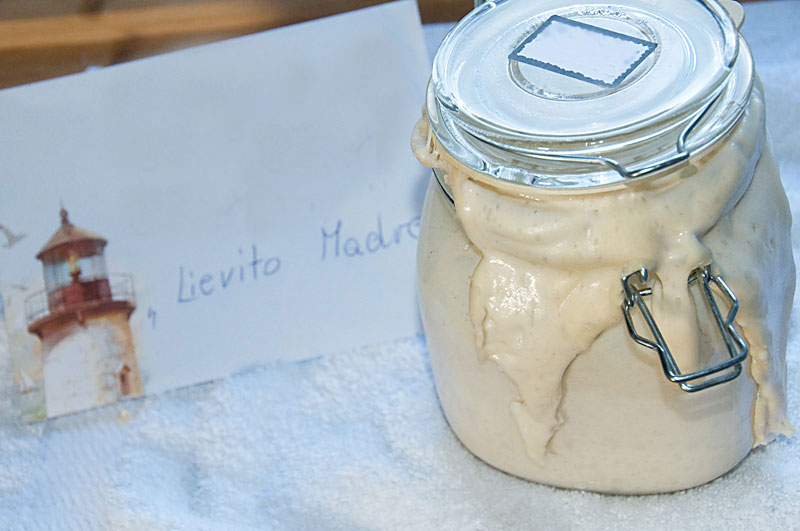 Jak zrobić drożdże Lievito Madre