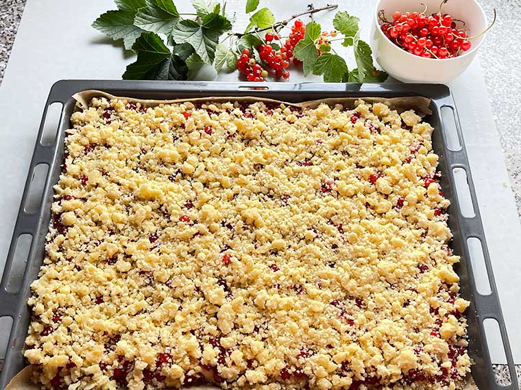 Porzeczkowe ciasto z budyniem