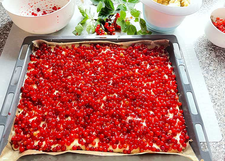 Porzeczkowe ciasto z budyniem