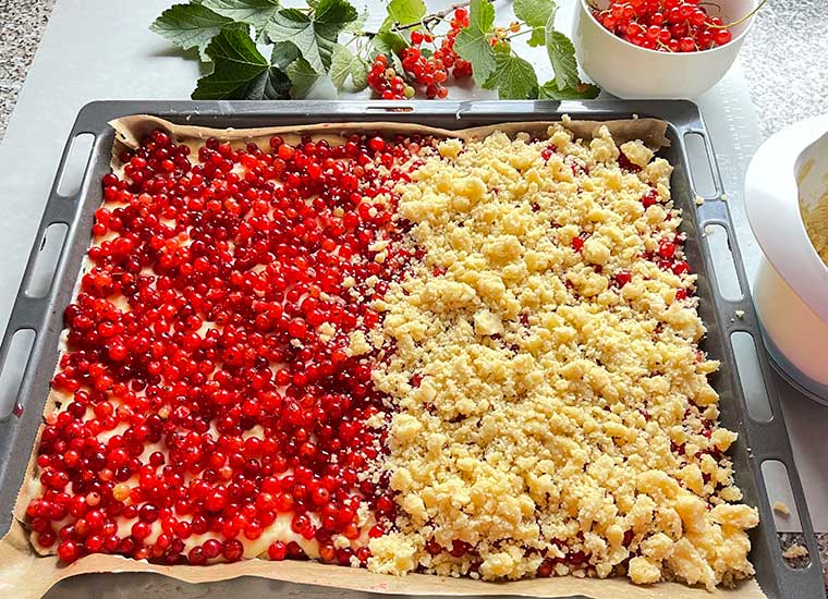 Porzeczkowe ciasto z budyniem