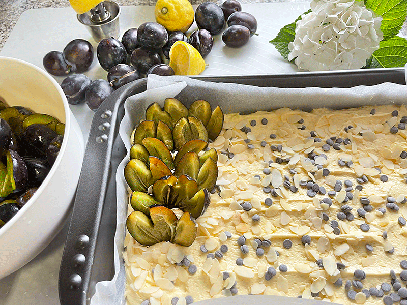 wiedeńskie ciasto ze śliwkami 