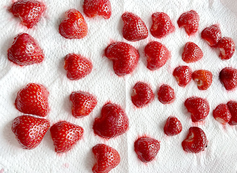 Rolada biszkoptowa z truskawkami