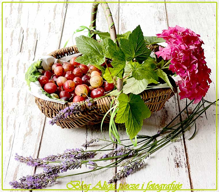 Agrestowe ciasto z bezą