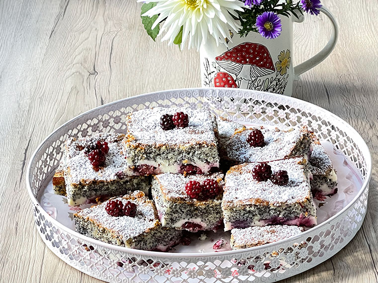 Makowy biszkopt z serem i jeżynami 