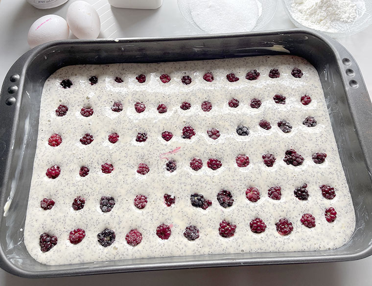 Makowy biszkopt z serem i jeżynami 