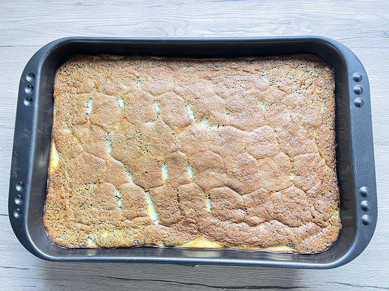 Makowy biszkopt z serem i jeżynami 