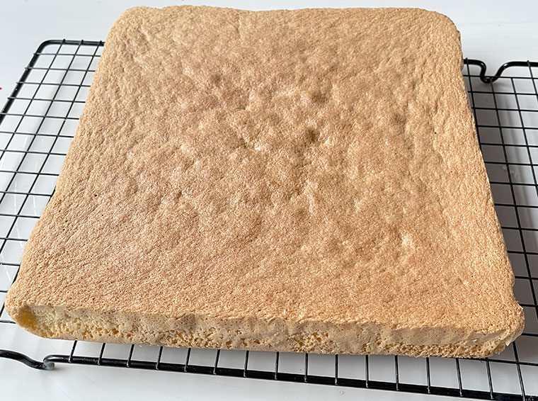 Biszkoptowe ciasto jeżynowe - straciatella -biszkopt