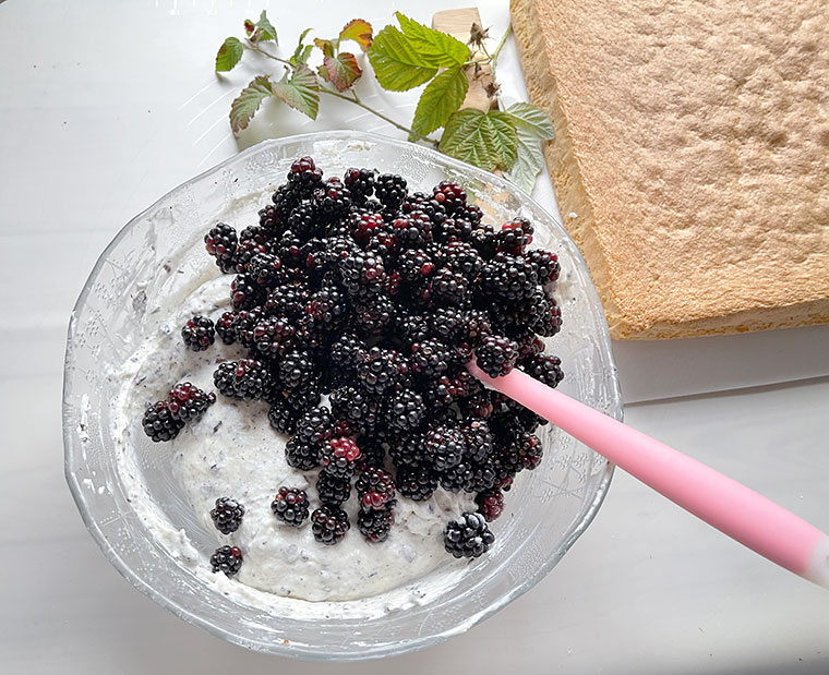 Biszkoptowe ciasto jeżynowe - straciatella