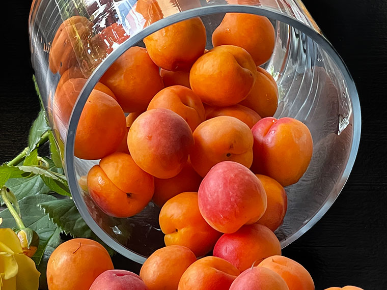 Morelowo - migdałowe ciasto z kremem-morele