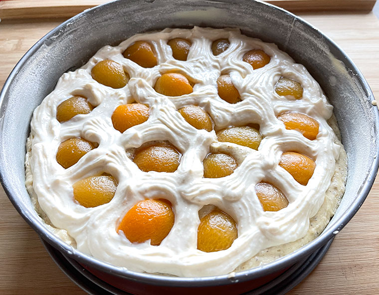 Orzechowe ciasto z morelami