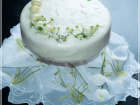 Tort – Kokos – Limetten